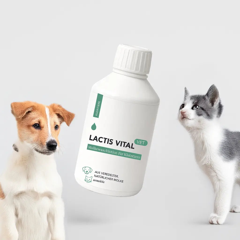 Lactis Vital Tierwaschlotion / 250 ml